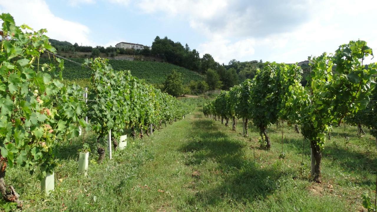 Corte Di Langa Cossano Belbo Luaran gambar